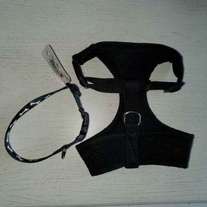 Small Dog Collar and Harness